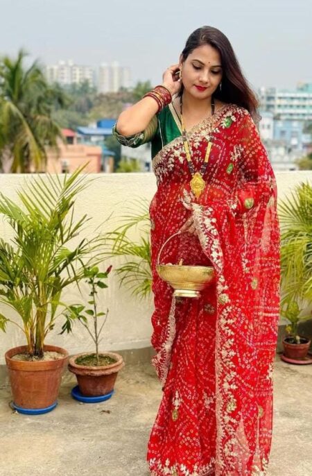 PITTEN WORK GEORGETTE SAREE